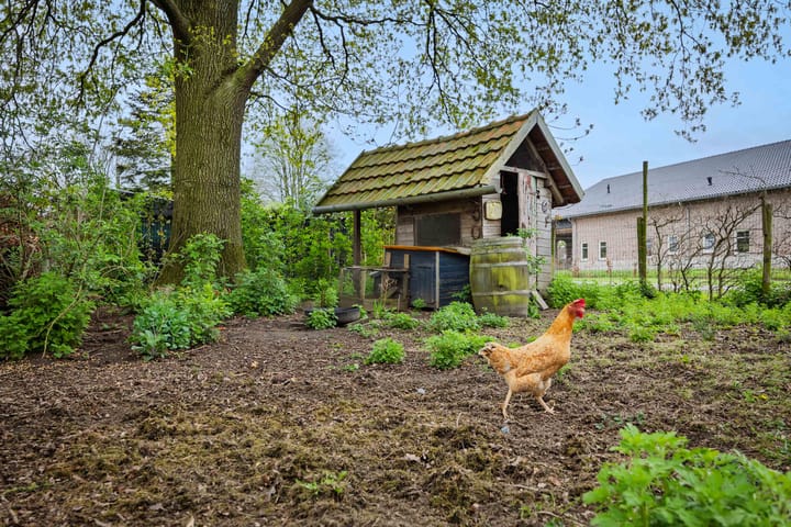 Foto 48 van Milhezerweg 65