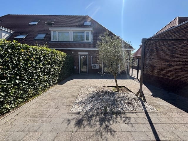 Foto 36 van Tapijtschelp 30