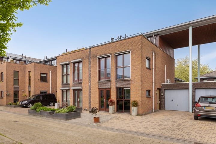 Okkernoot 8