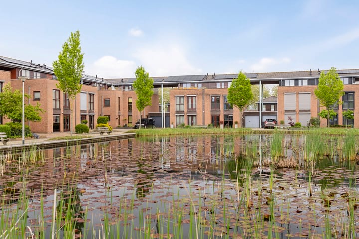 Photo 2 of Okkernoot 8