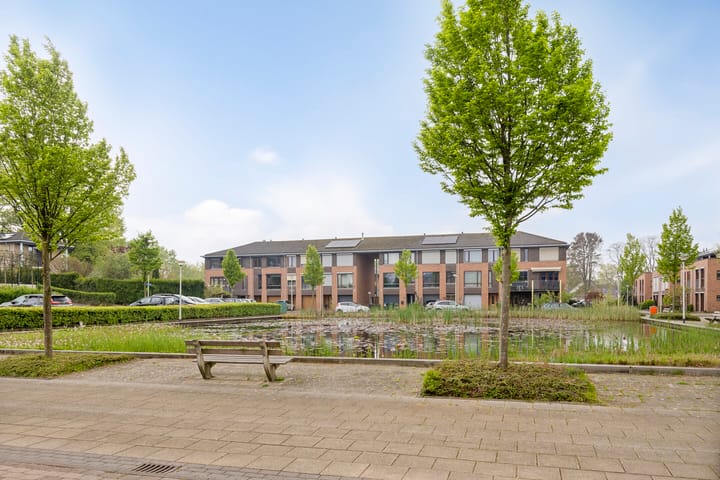 Photo 28 of Okkernoot 8