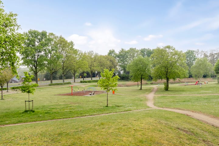 Photo 29 of Okkernoot 8