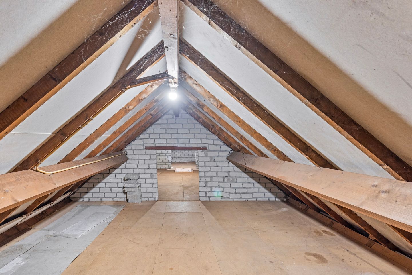 Foto 44 van Caeciliahof 8