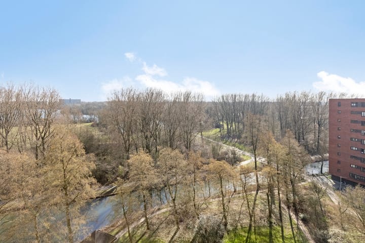 Foto 20 van Groningensingel 813