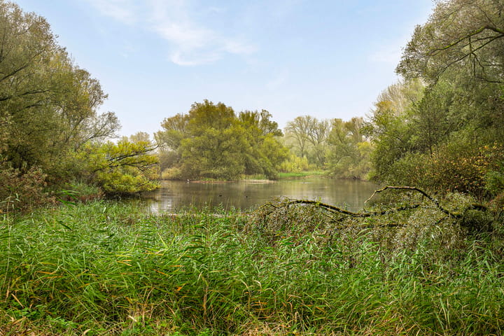 Foto 36 van Groningensingel 813