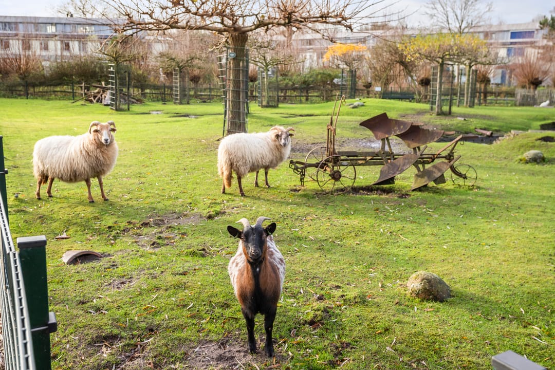 Foto 38 van Andrej Sacharowstraat 18