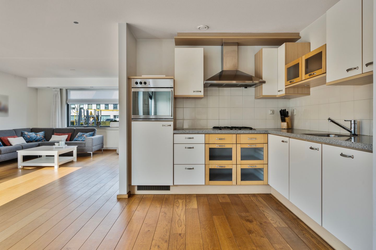 Foto 10 van Willem Alexanderhof 43