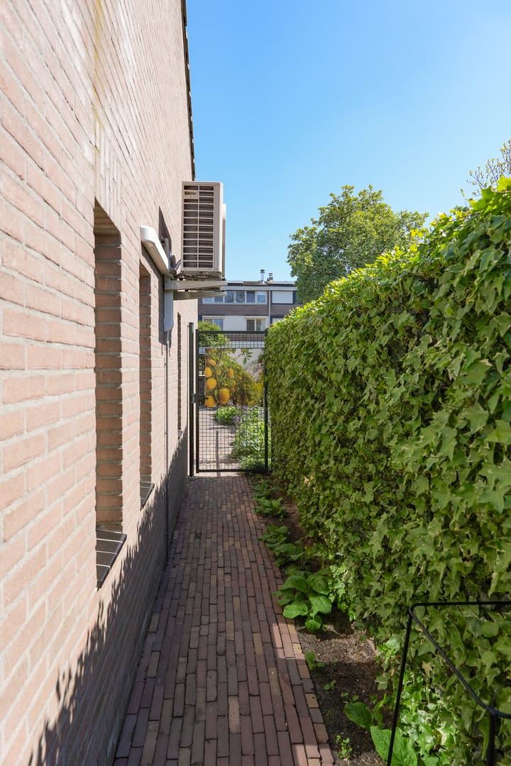 Foto 54 van De Rijf 1