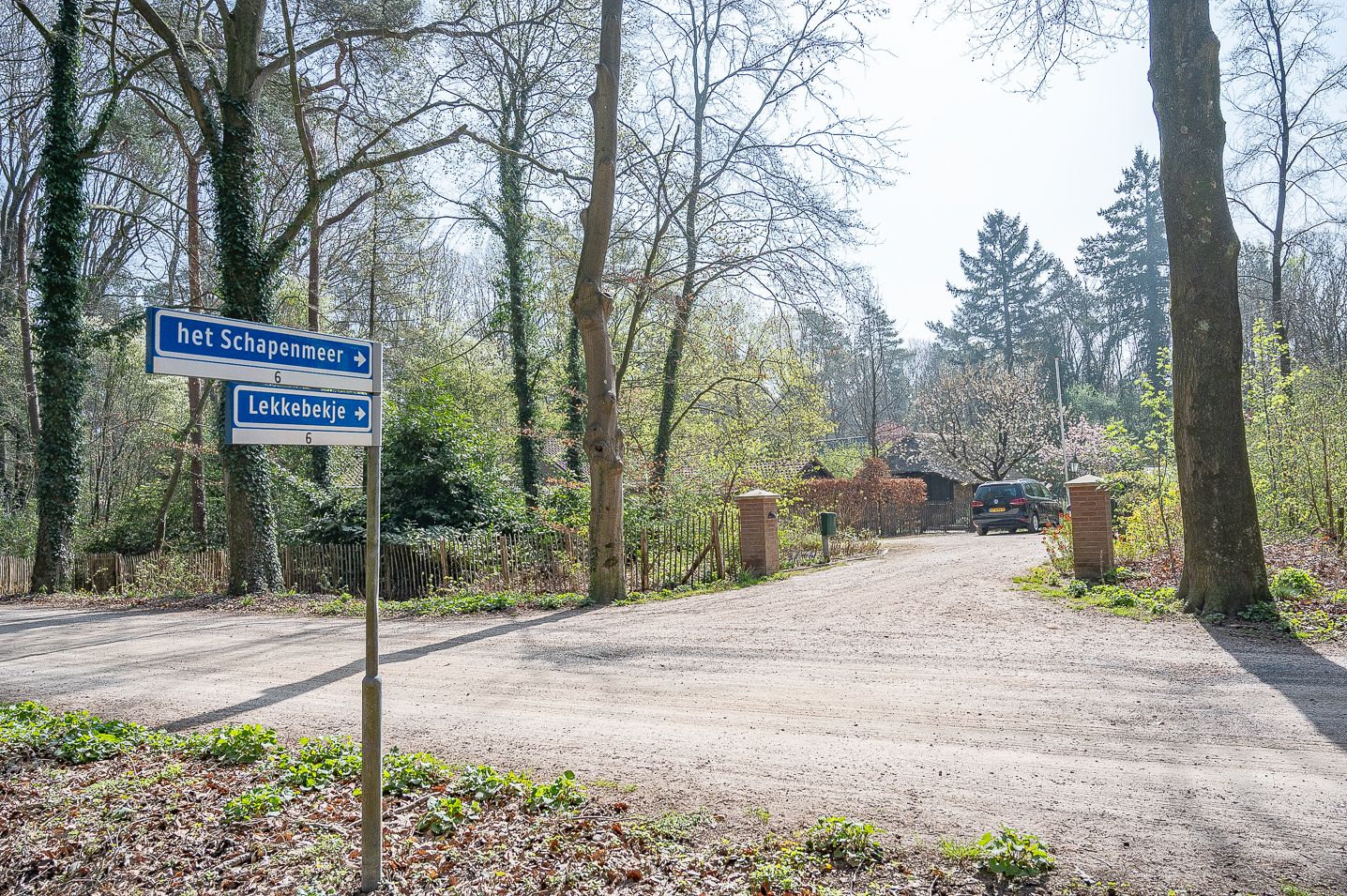 Foto 5 van het Schapenmeer 6