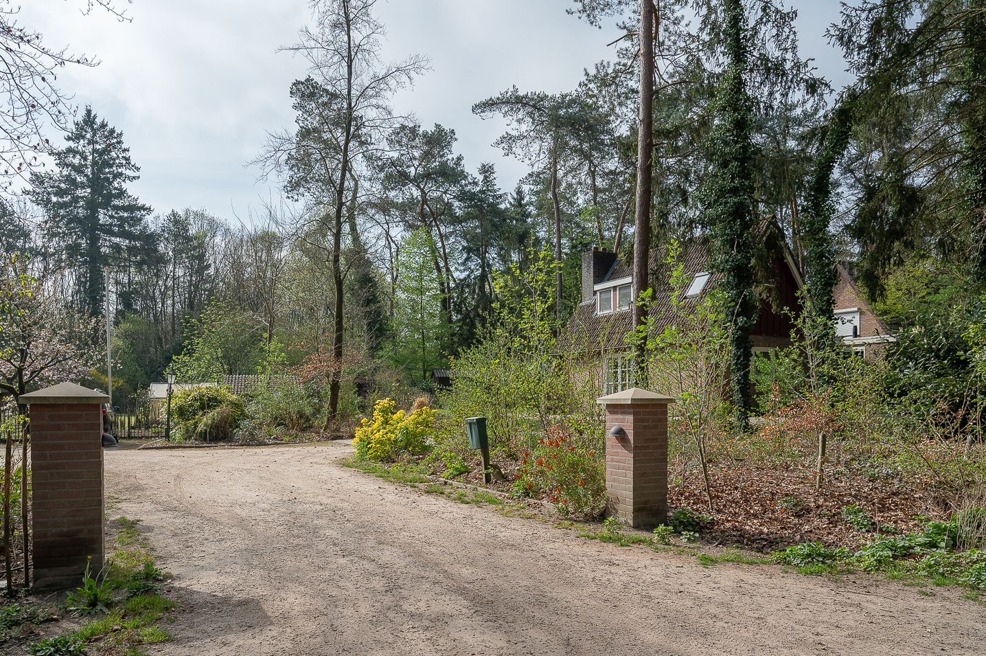 Foto 6 van het Schapenmeer 6