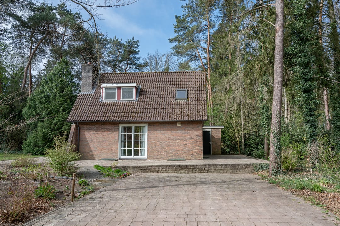 Foto 28 van het Schapenmeer 6