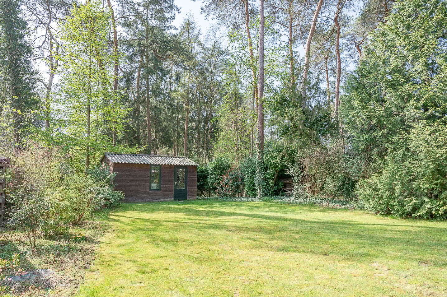 Foto 30 van het Schapenmeer 6