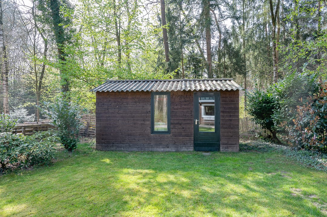 Foto 31 van het Schapenmeer 6