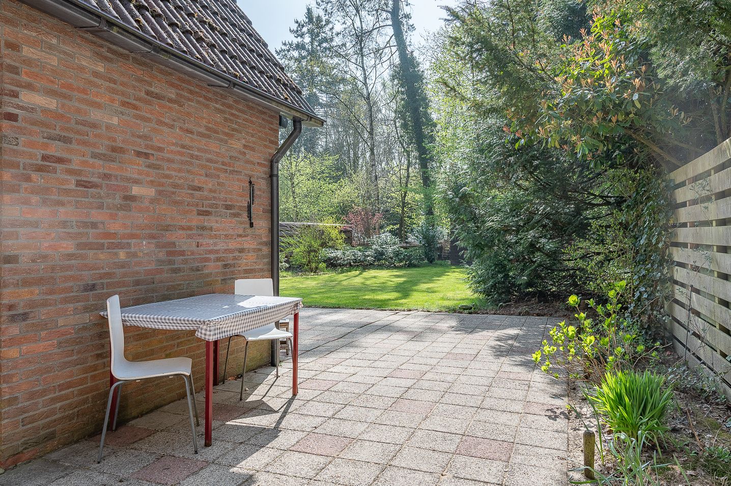 Foto 35 van het Schapenmeer 6