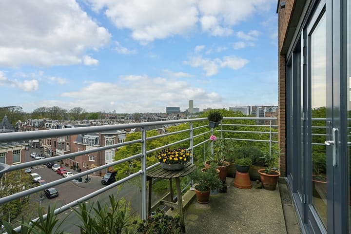 Foto 6 van Cornelis de Wittlaan 500