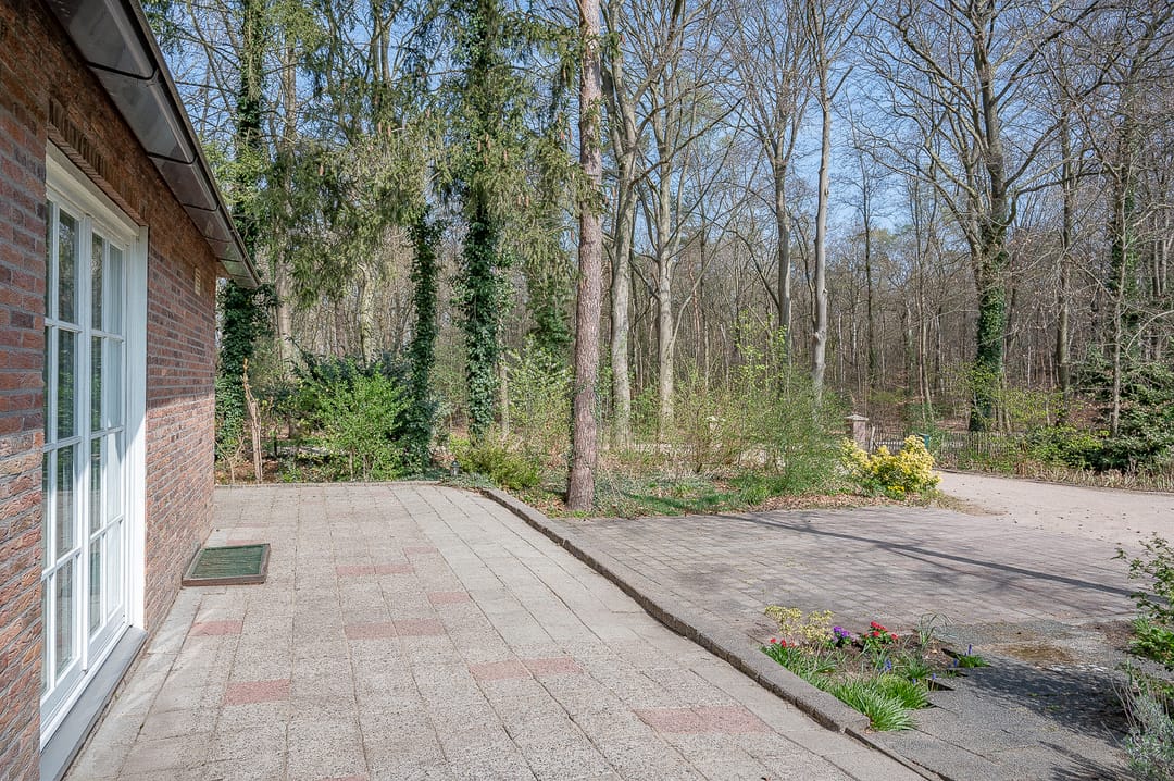 Foto 37 van het Schapenmeer 6