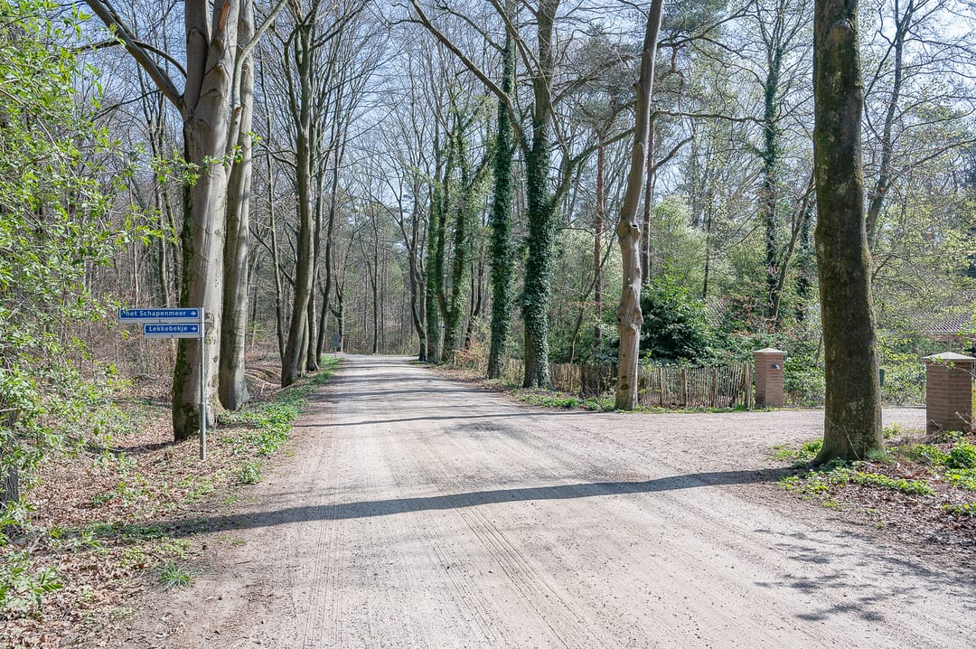 Foto 38 van het Schapenmeer 6