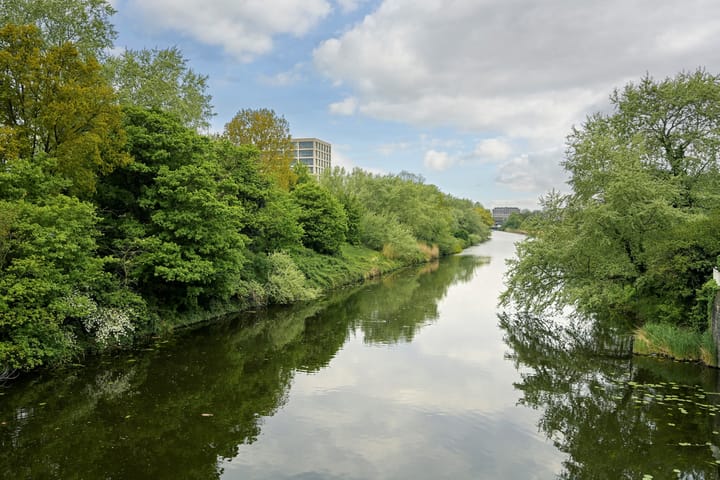 Foto 42 van Cornelis de Wittlaan 500