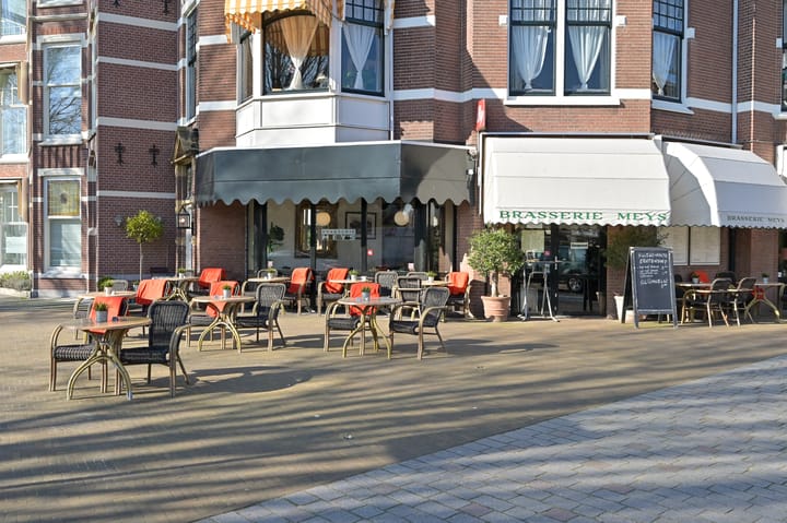 Foto 49 van Cornelis de Wittlaan 500