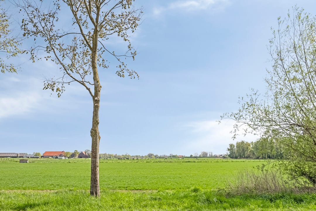 Foto 32 van Pastoor Smuldersstraat 3