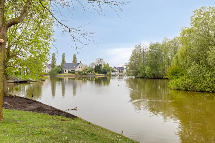 Foto 40 van Brilduiker 7