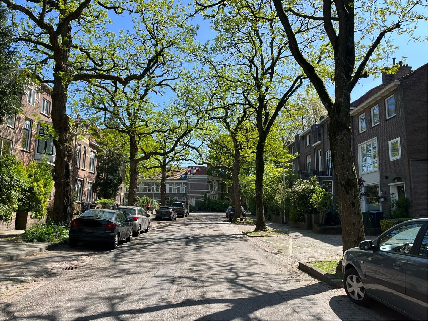 Photo 5 of Staringstraat 24 VII