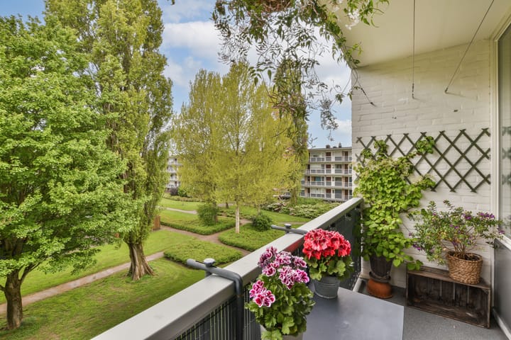 Foto 10 van Zwingliweg 65