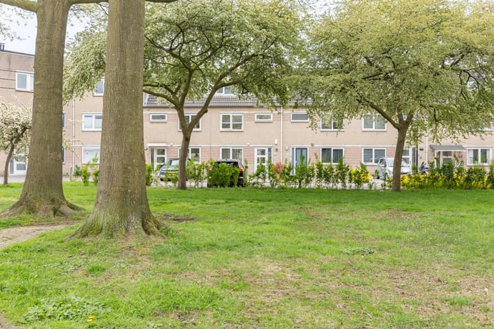 Foto 4 van Houtzaagmolen 65