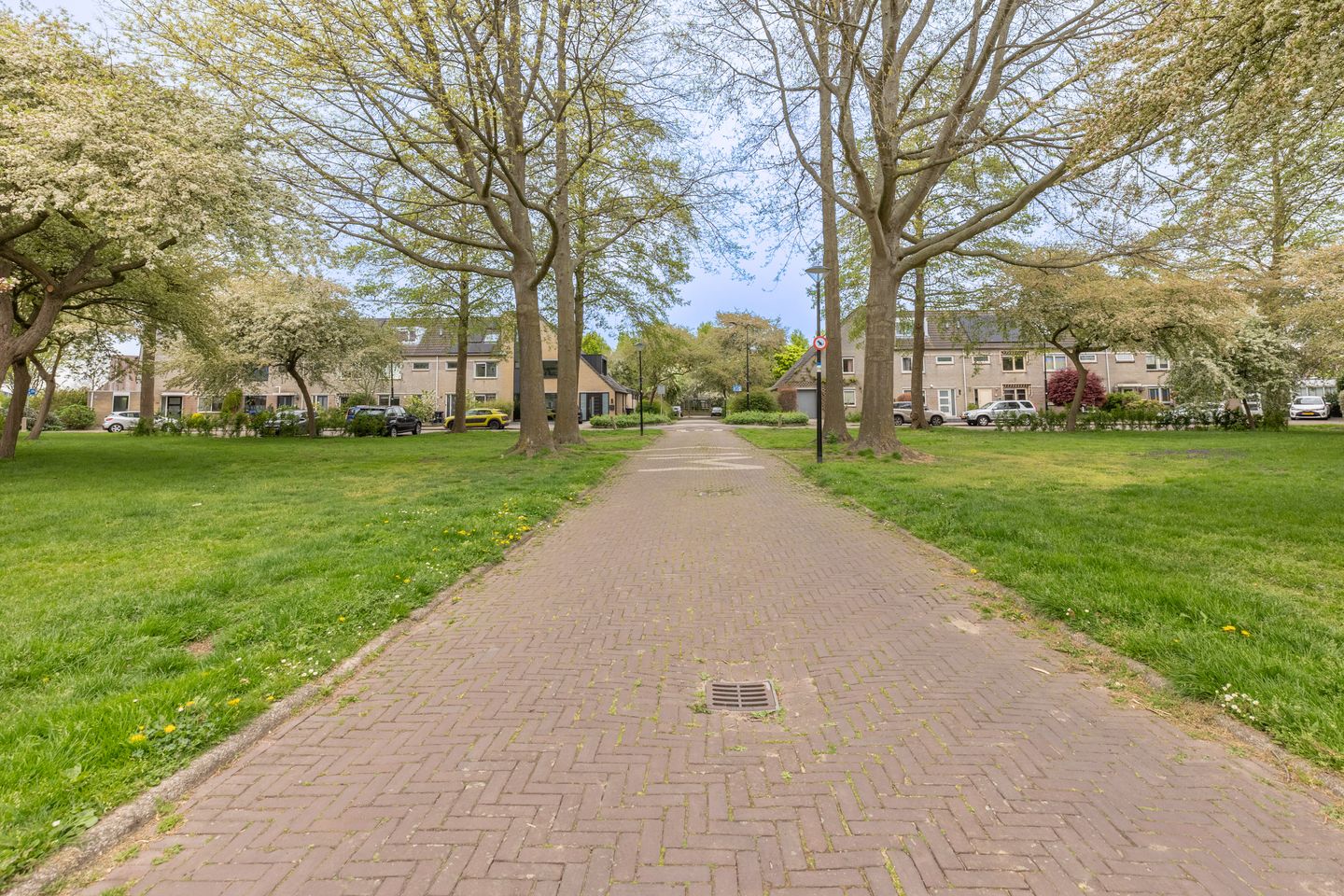 Foto 34 van Houtzaagmolen 65