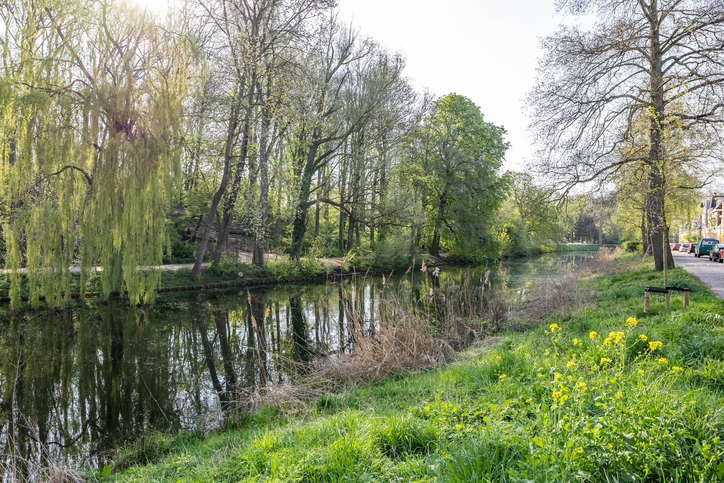 Foto 14 van Grachtstraat 34