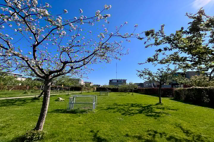 Foto 42 van Texashof 26