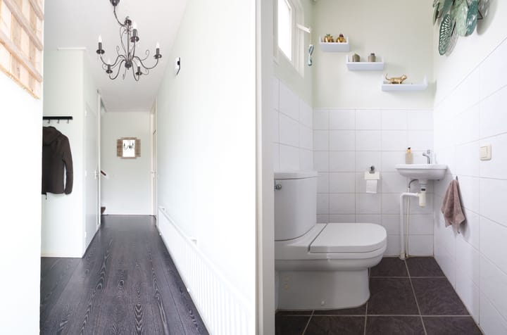 Foto 5 van Hanebalken 5