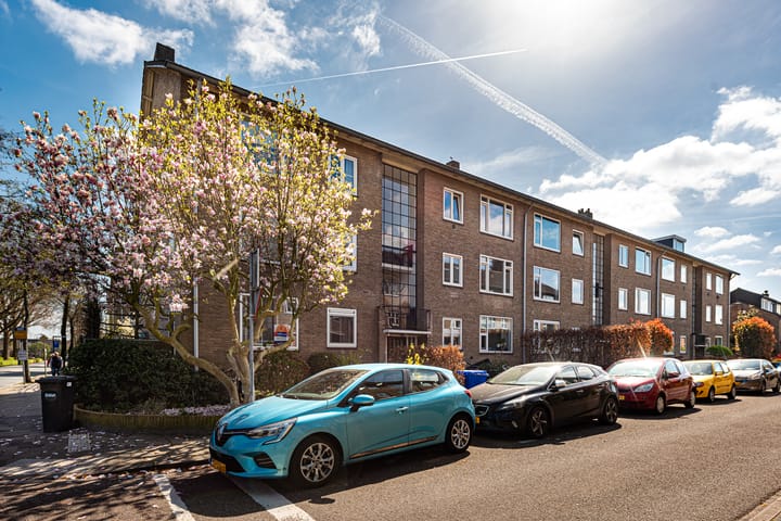 Foto 19 van Anthony van Dijcklaan 50