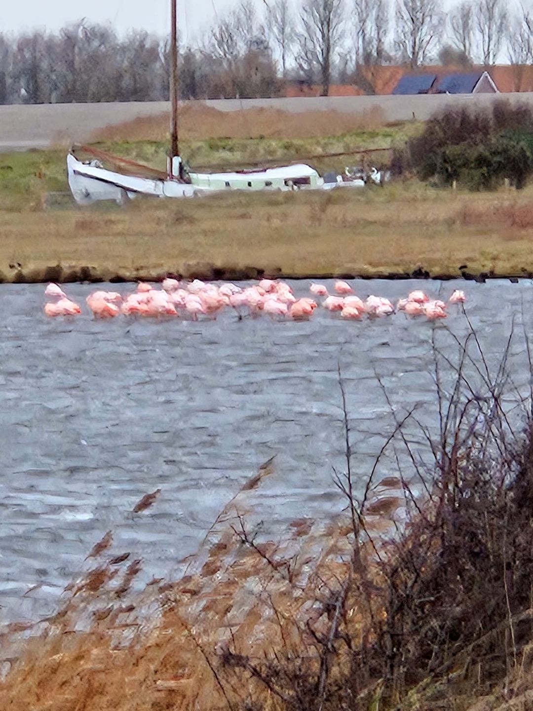 Foto 43 van Battenoord 2