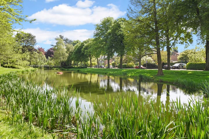 Foto 37 van Crayensteynstraat 111