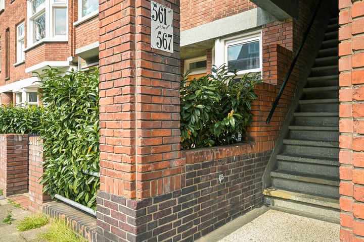 Foto 14 van Mient 561