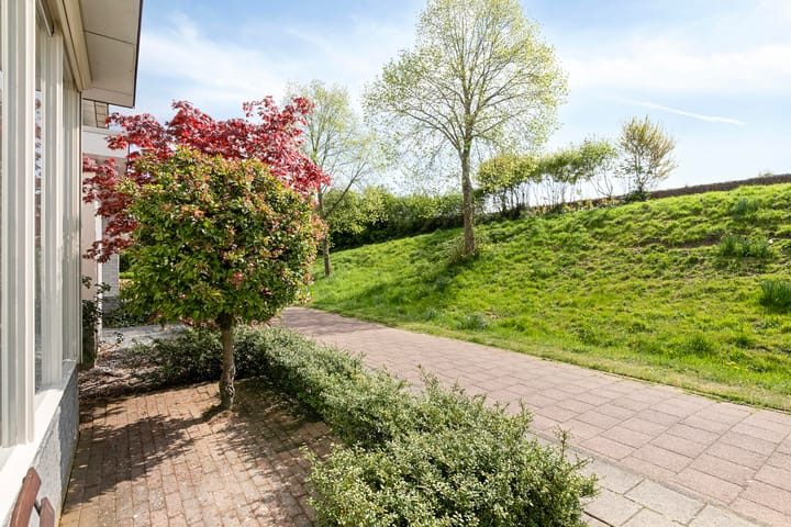 Foto 10 van De Laatste Stuiver 9