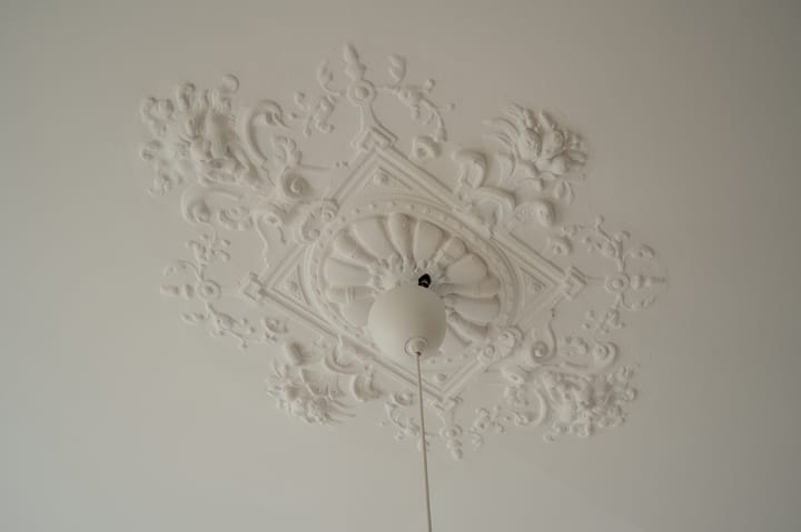 Foto 10 van Groot Hertoginnelaan 65-B