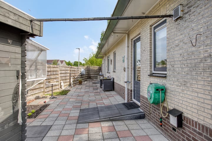 Foto 39 van Koraal 1