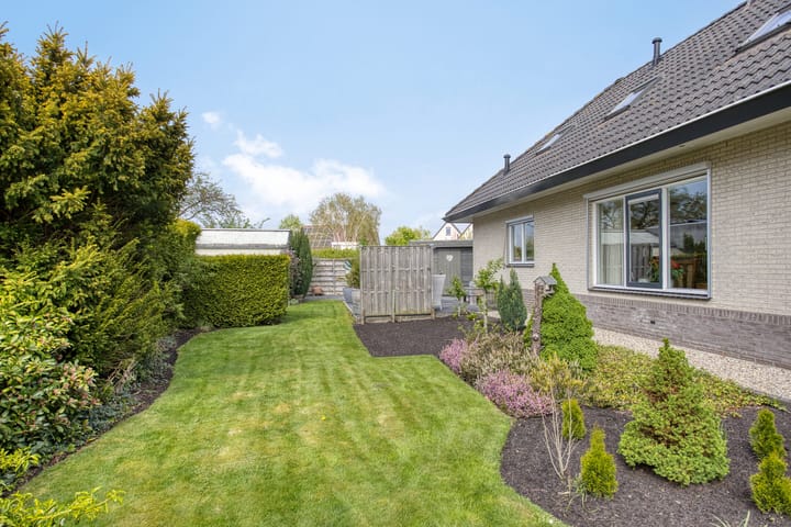 Foto 43 van Koraal 1