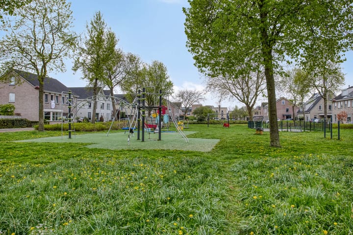 Foto 47 van Koraal 1