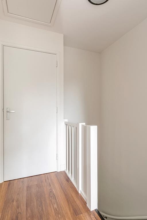 Foto 41 van Dingspelstraat 18