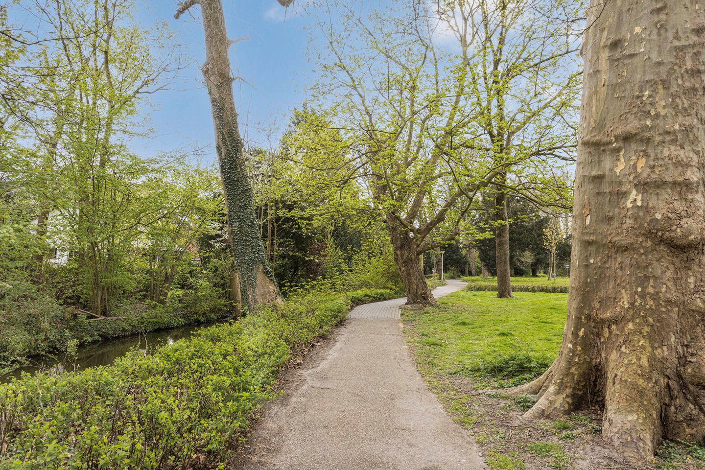 Foto 19 van Nieuwe Hoven 46