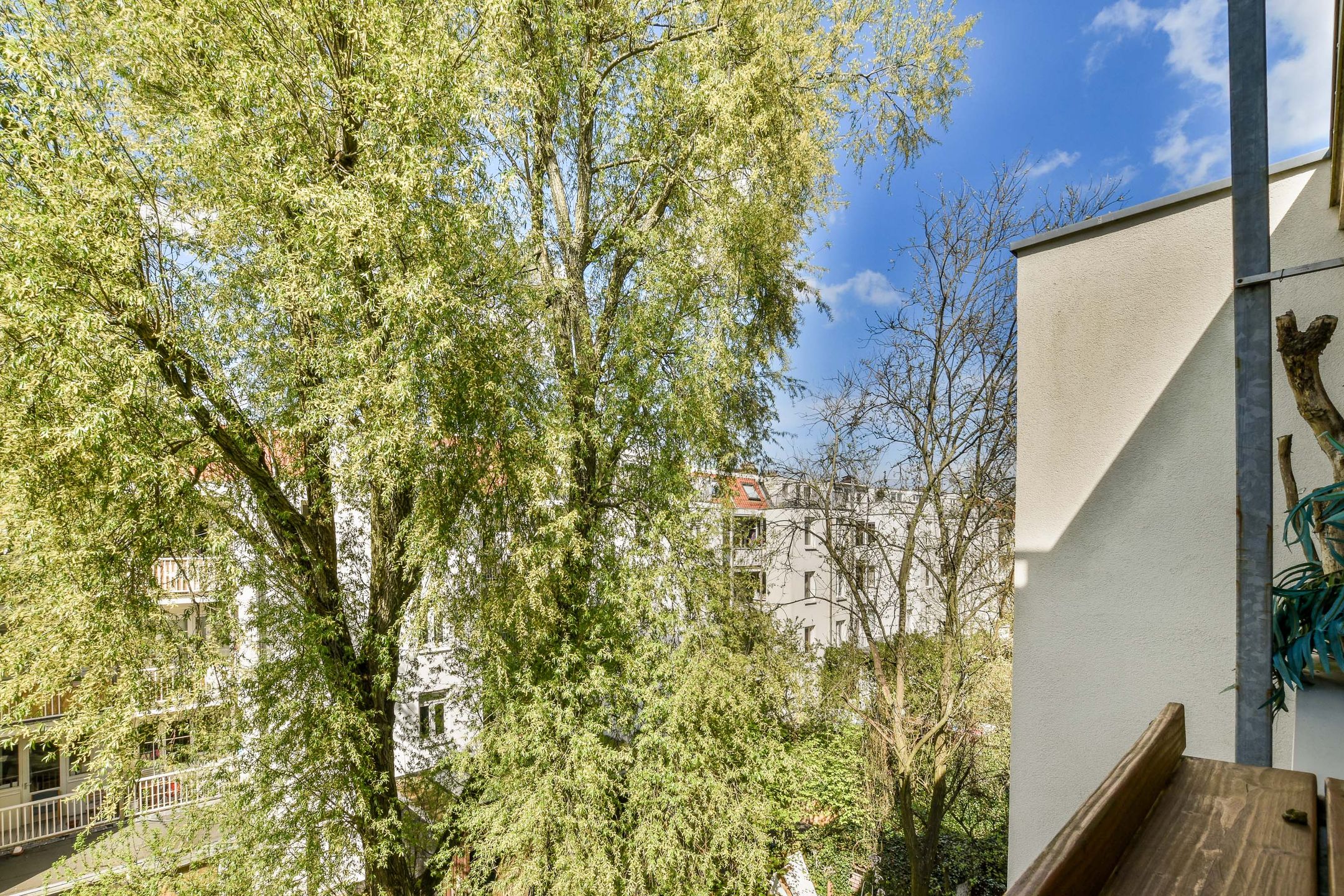 Photo 12 of Van Boetzelaerstraat 90-3