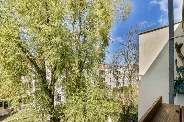 Foto 12 van Van Boetzelaerstraat 90-3