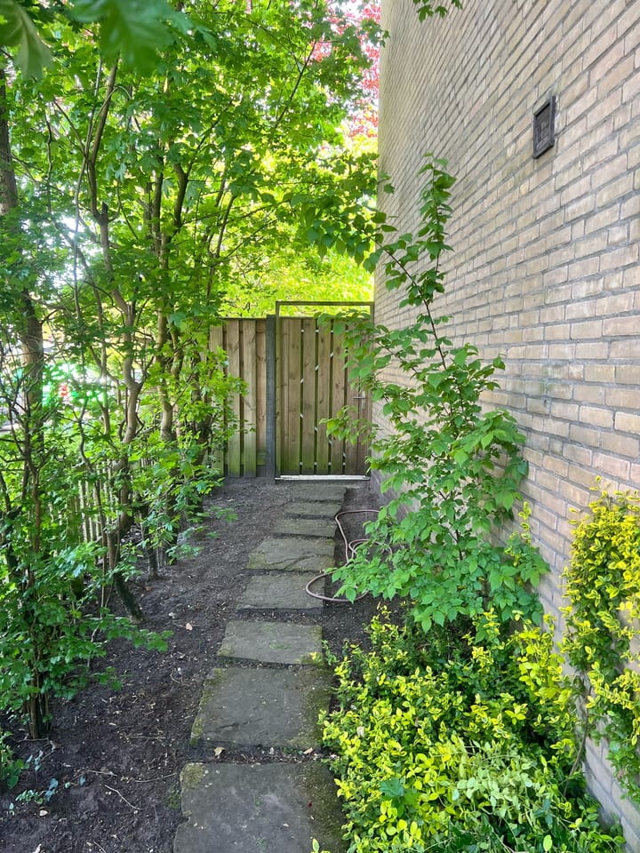 Foto 31 van Morane 1