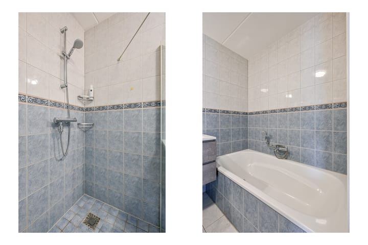 Foto 31 van Hollands Hoen 72