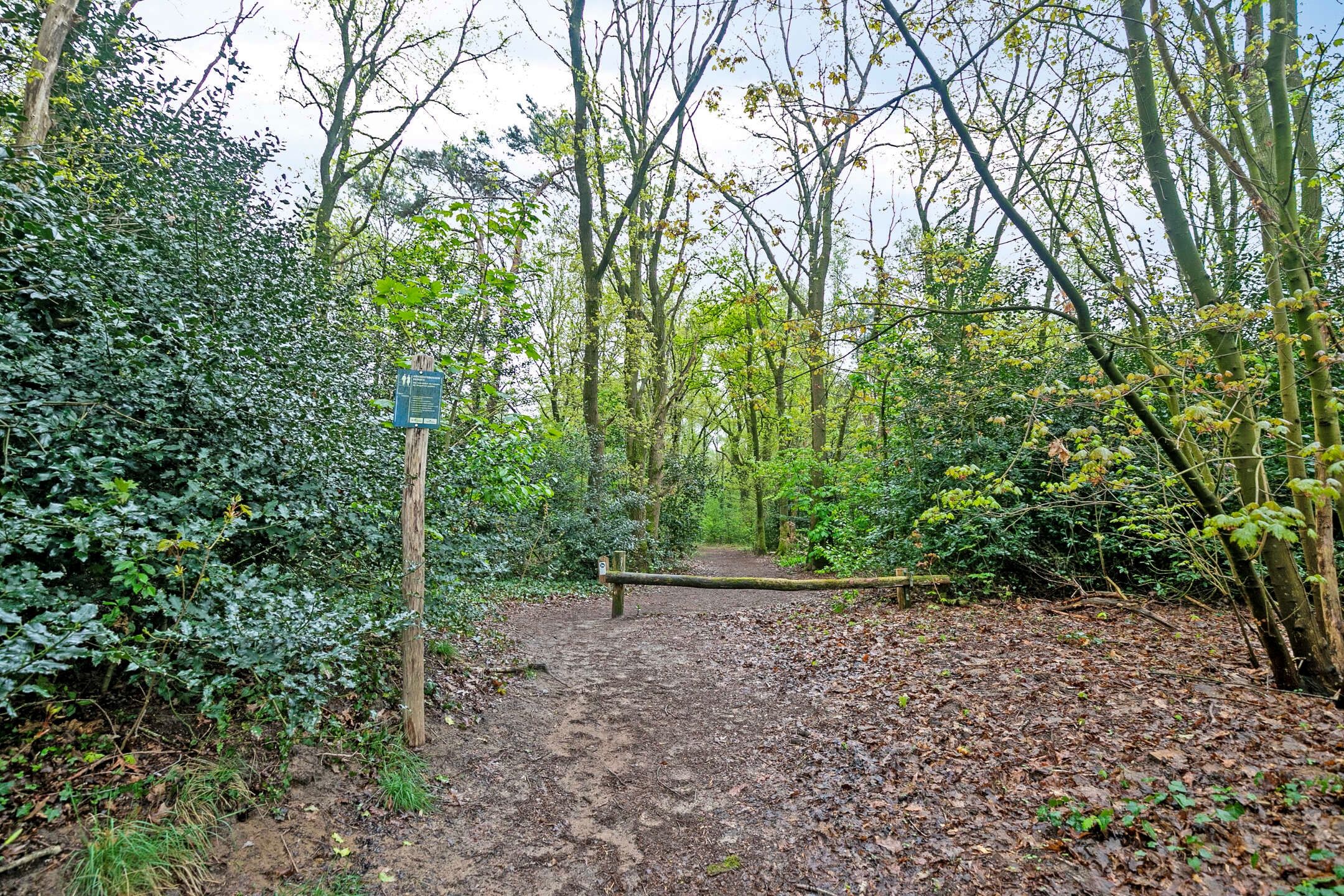 Foto 42 van Paulus Potterstraat 4