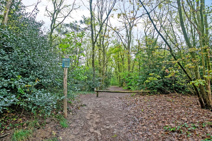 Photo 42 of Paulus Potterstraat 4