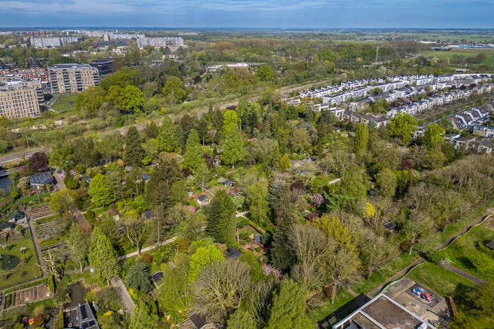 Foto 34 van Aartsbisschop Romerostraat 227